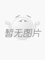 超细硅酸锆粉（分子式： ZrSiO 4 ）